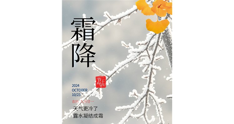 霜降：人间至此秋色尽，草木摇落露为霜！