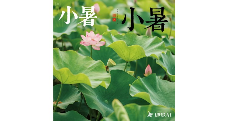 小暑至，于盛夏序章中静心寻养